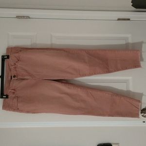 Lane Bryant skinny ankle pants